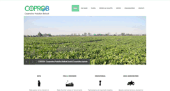 Desktop Screenshot of coprob.com