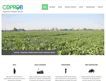 Tablet Screenshot of coprob.com